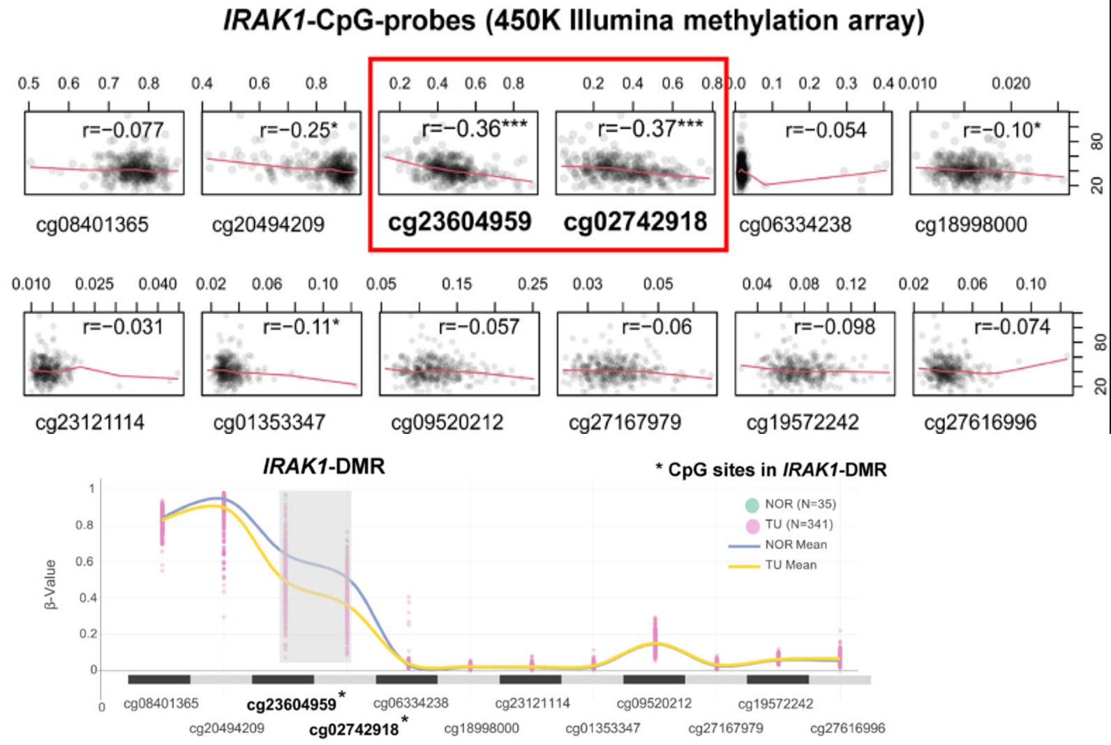 Characterization of the Differentially Methylated Region in IRAK1.jpg